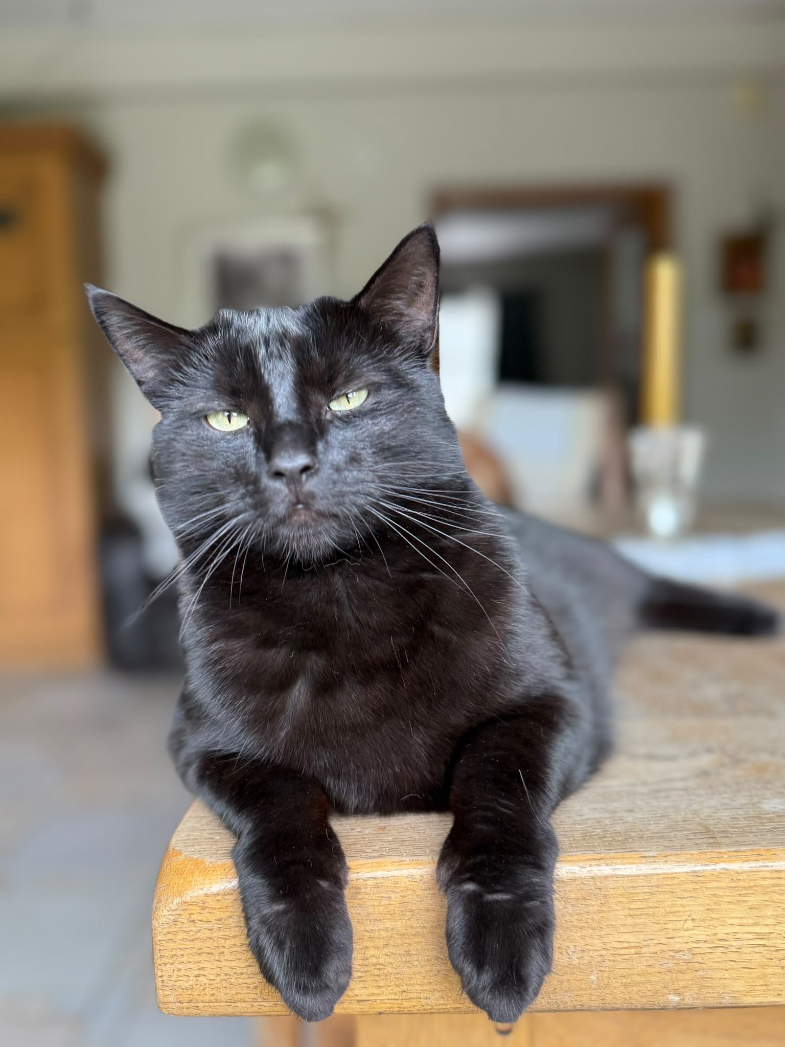 Ink Cat on the table, the original tap